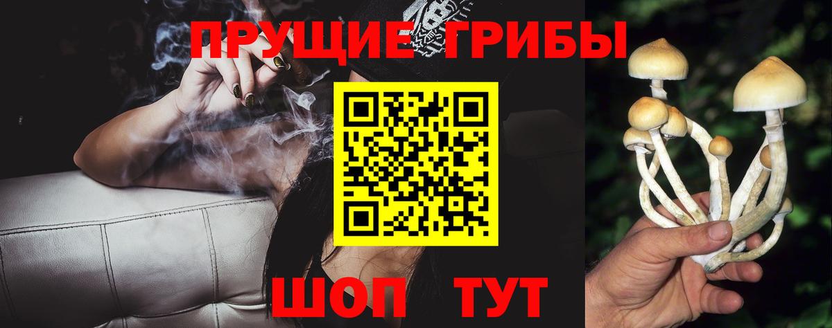 Псилоцибиновые грибы Psilocybe Когалым
