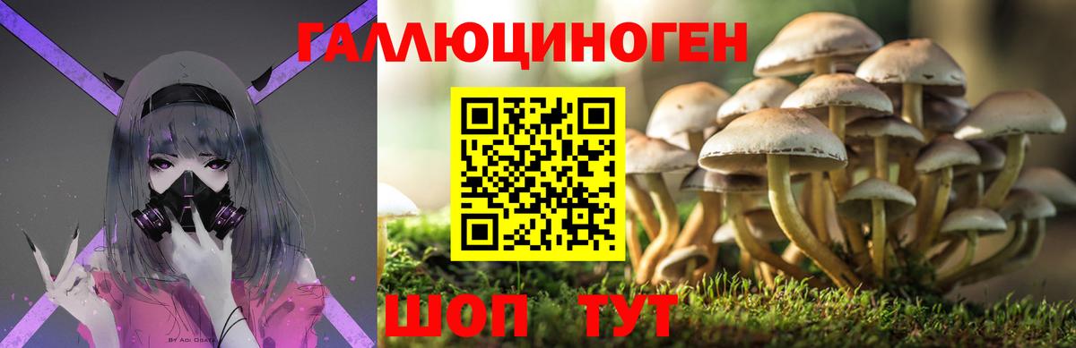 Псилоцибиновые грибы Cubensis  где купить наркоту  Вход с VPN  Когалым  Галлюциногенные грибы MAGIC MUSHROOMS 
